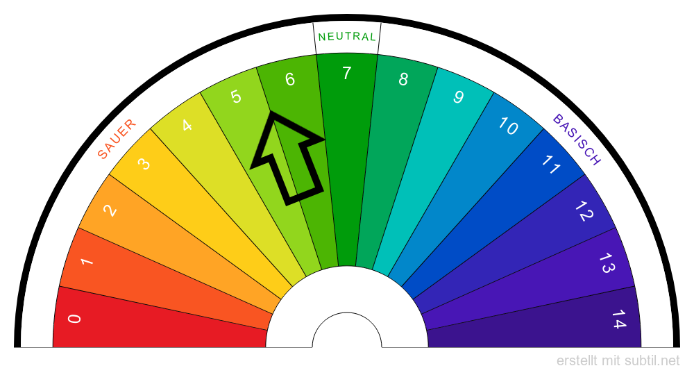 Weigola Handwaschcreme rosa 2 Liter Kanister